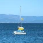 Colocation dans le Var et sur la Côte d’Azur : une solution face